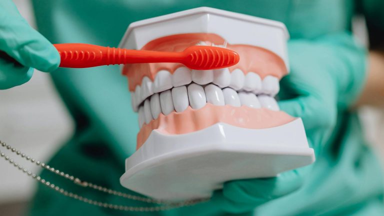 Adaptation et entretien quotidien