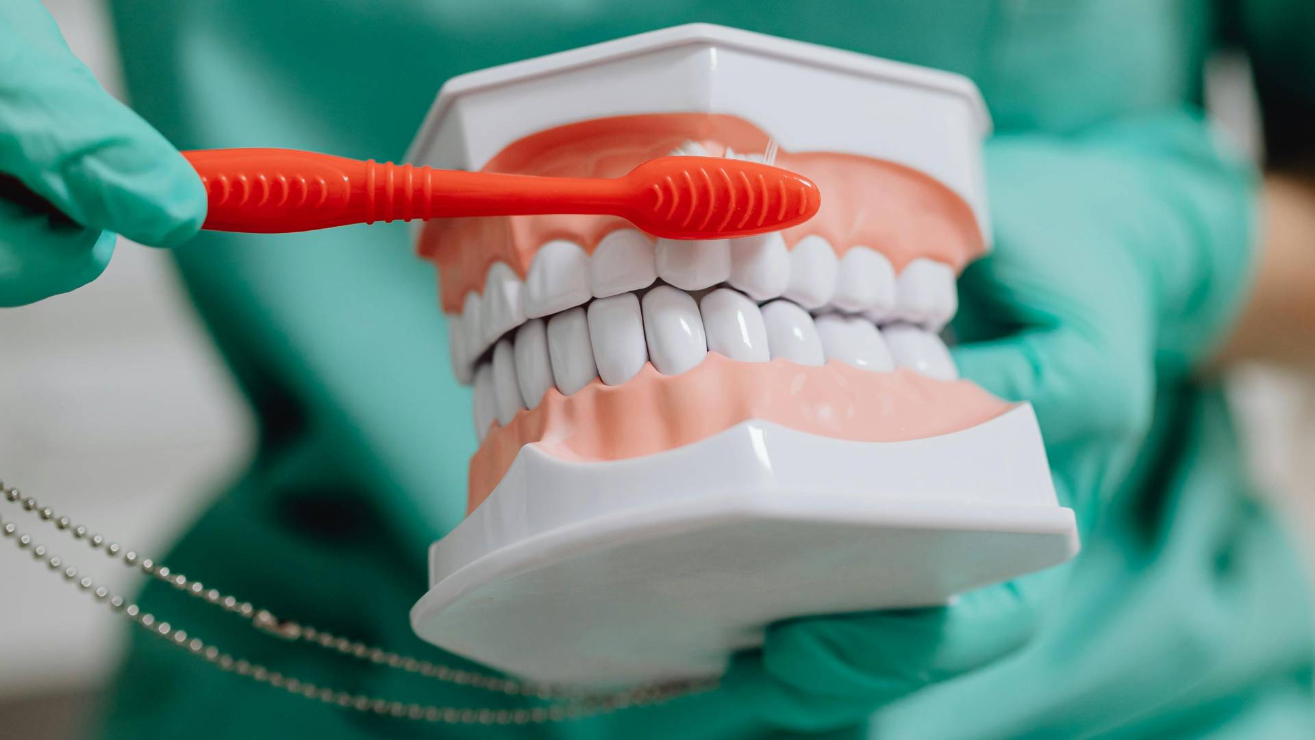 Adaptation et entretien quotidien